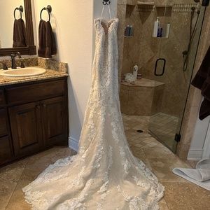 Pronovias Princia Wedding Dress